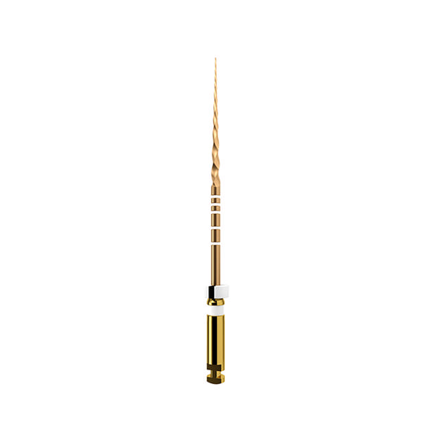 ProTaper GOLD 25 mm S2 6 stk.